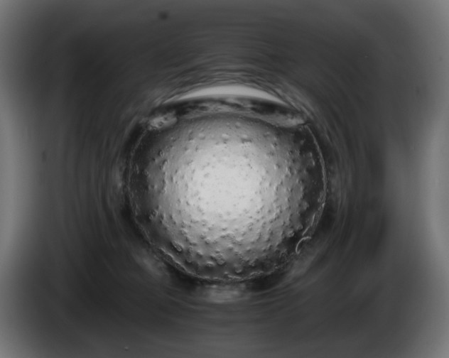 X0000084550373200703021511