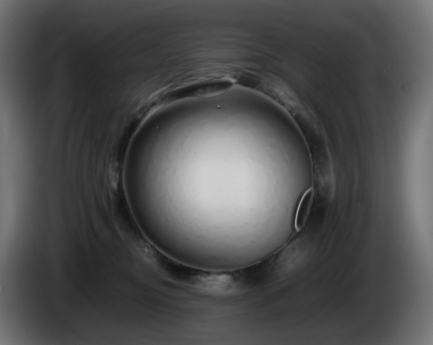X0000084550374200703021511