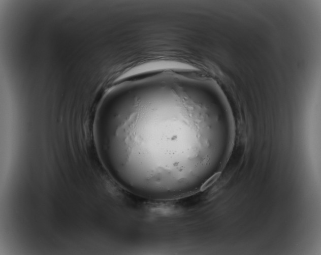 X0000084550377200703021511