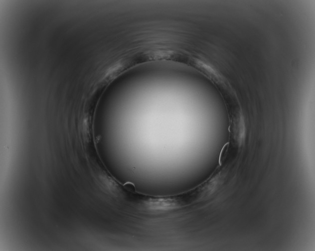 X0000084550378200703021511