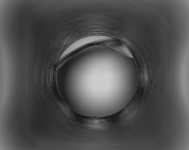 X0000084550379200703021511