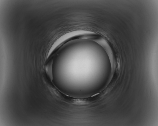 X0000084550380200703021511