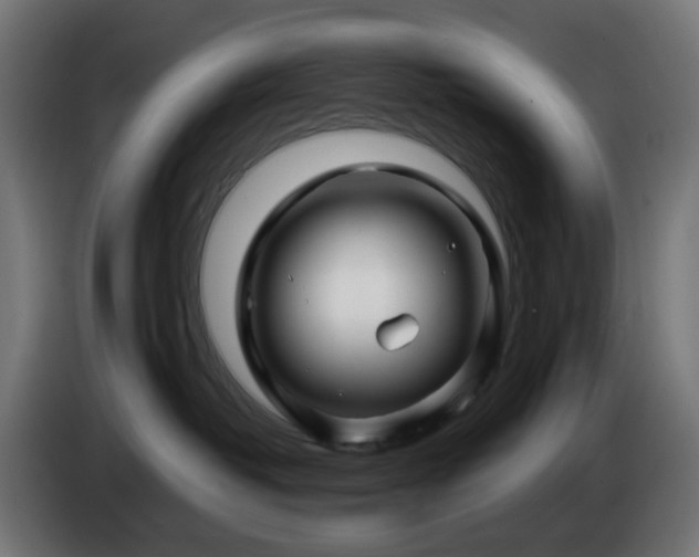 X0000084550382200703021511