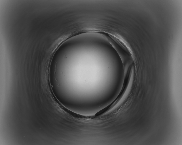 X0000084550385200703021511