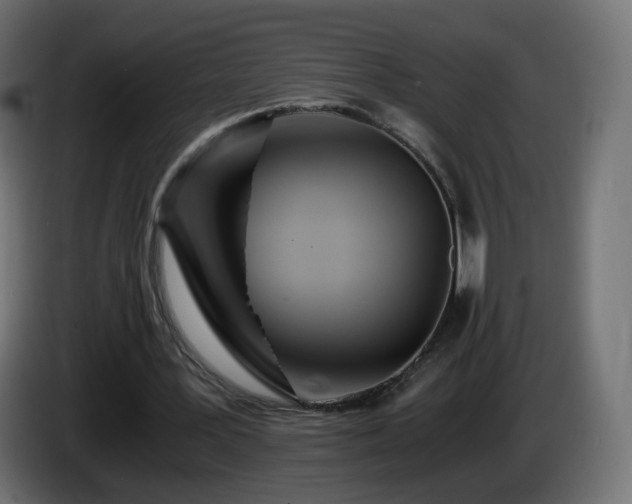 X0000084550387200703021510