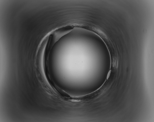 X0000084550388200703021510