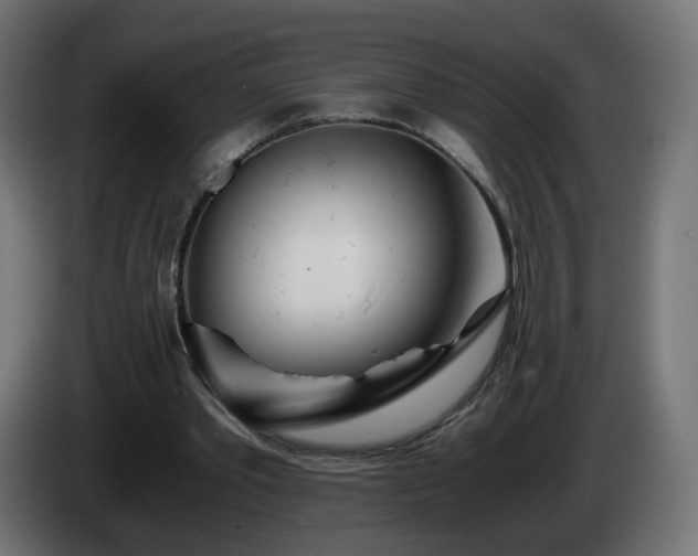 X0000084550389200703021510