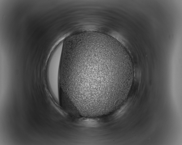 X0000084550390200703021510