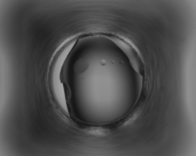 X0000084550391200703021510