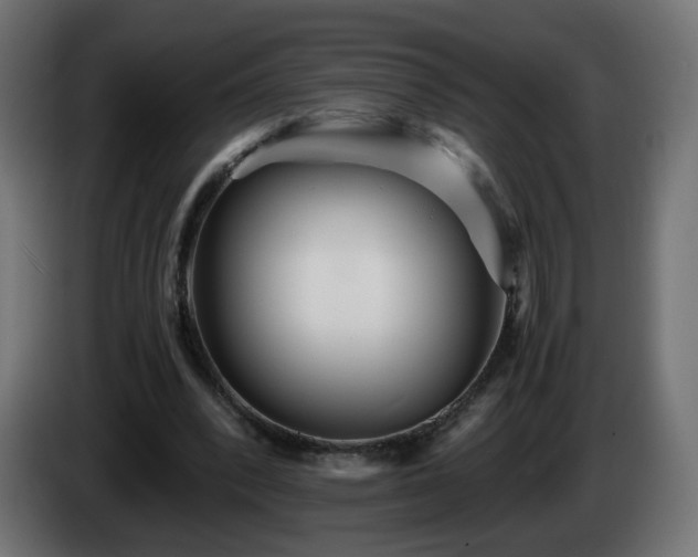 X0000084550392200703021510