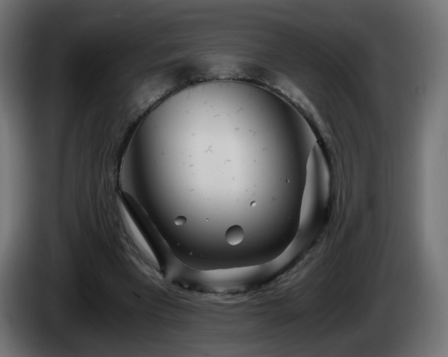 X0000084550393200703021510