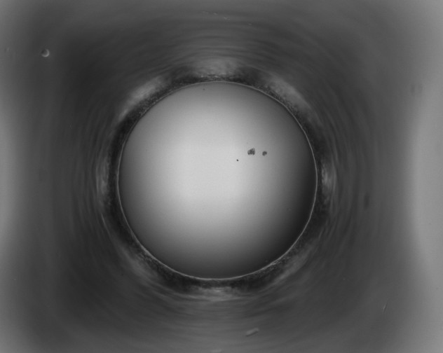 X0000084550396200703021510