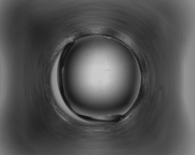 X0000084550397200703021510