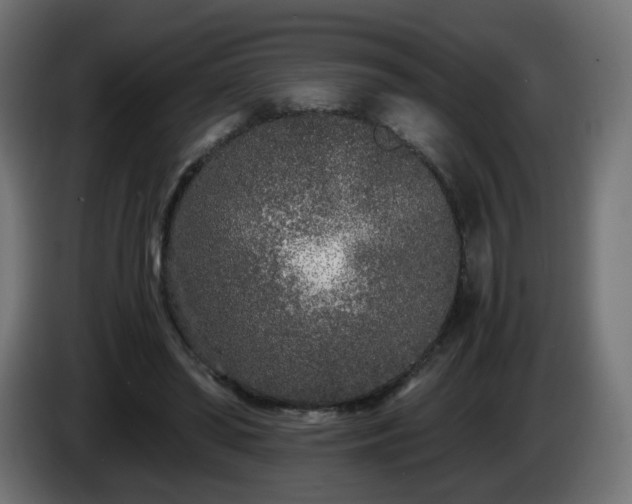 X0000084550398200703021510