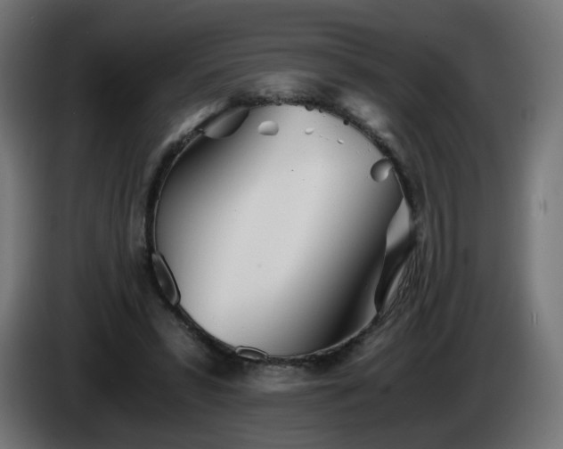 X0000084550399200703021510