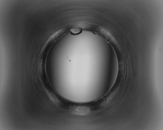 X0000084550400200703021510