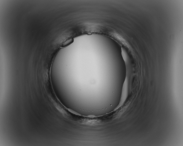 X0000084550401200703021510