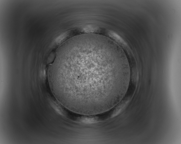 X0000084550405200703021510