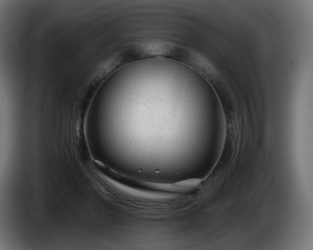 X0000084550406200703021510