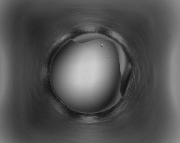 X0000084550407200703021510