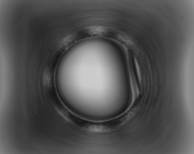 X0000084550408200703021510