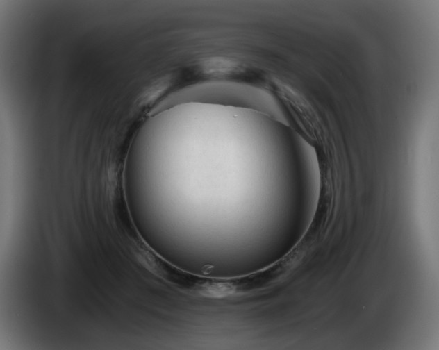 X0000084550409200703021510