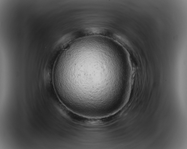 X0000084550410200703021510