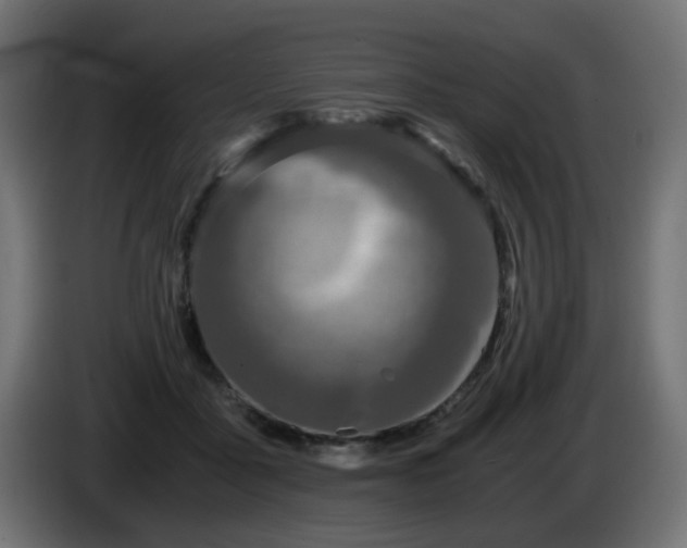 X0000084550411200703021510