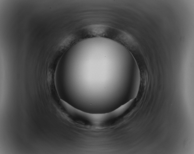 X0000084550412200703021510