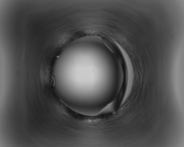 X0000084550416200703021510