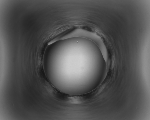 X0000084550417200703021510