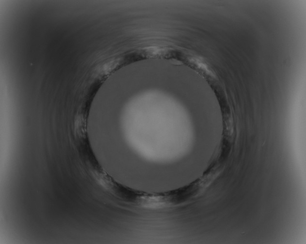 X0000084550419200703021510