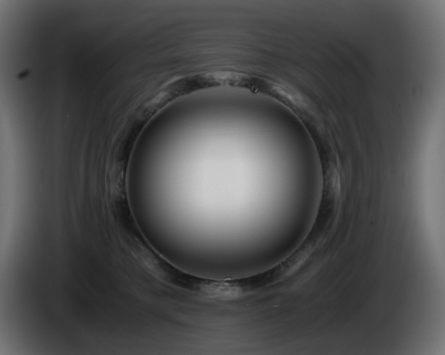 X0000084550421200703021510