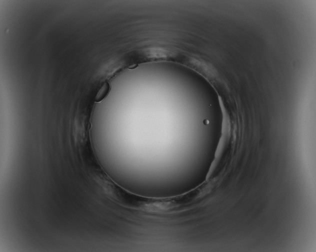 X0000084550422200703021510