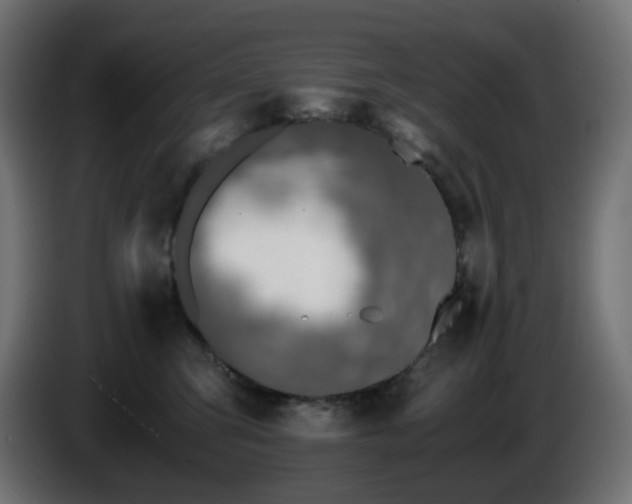 X0000084550423200703021510