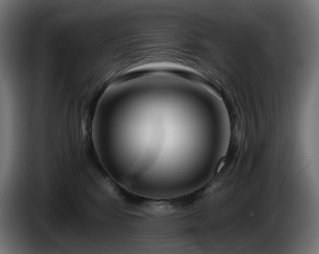 X0000084550424200703021510
