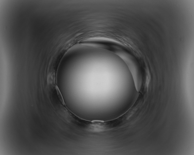 X0000084550425200703021510