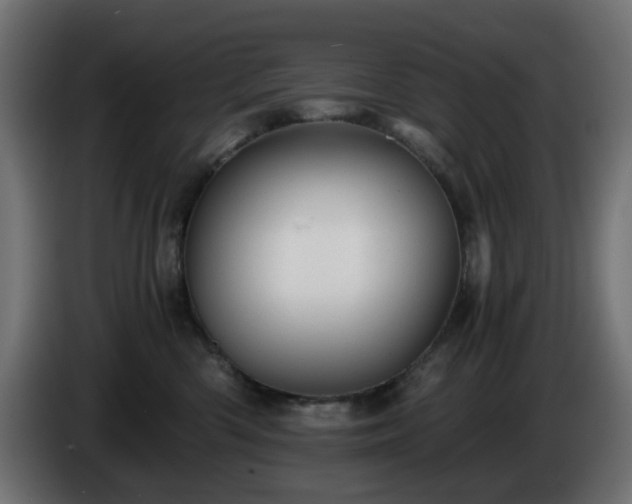 X0000084550426200703021510