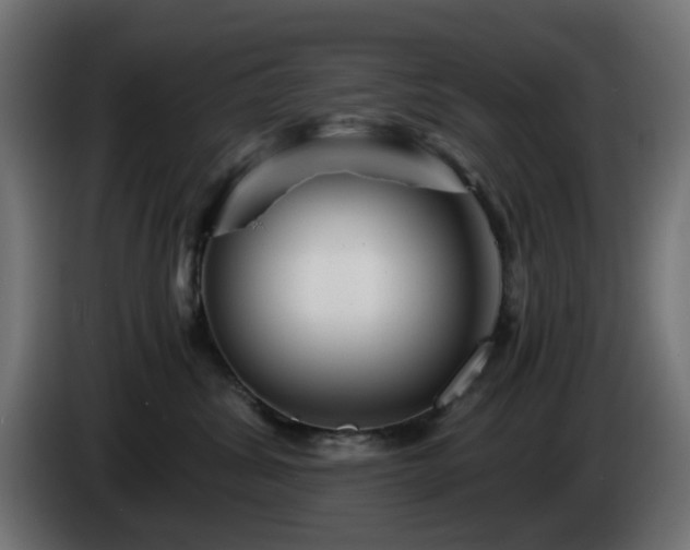 X0000084550428200703021510