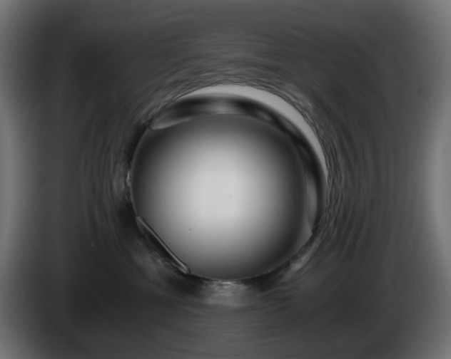 X0000084550429200703021510