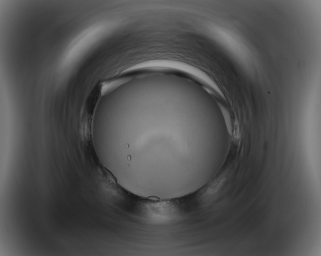 X0000084550431200703021510