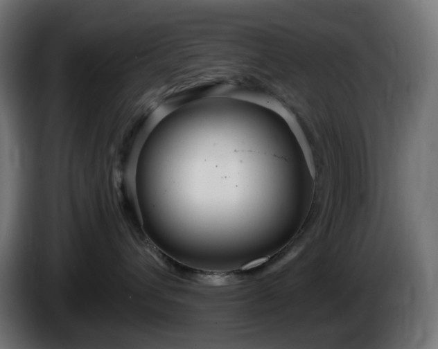 X0000084550432200703021510