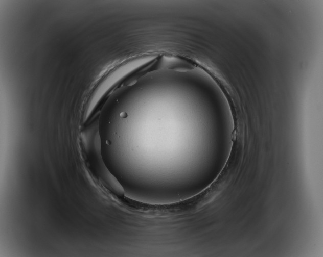 X0000084550434200703021509