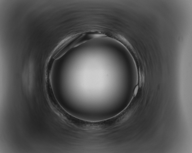 X0000084550435200703021509