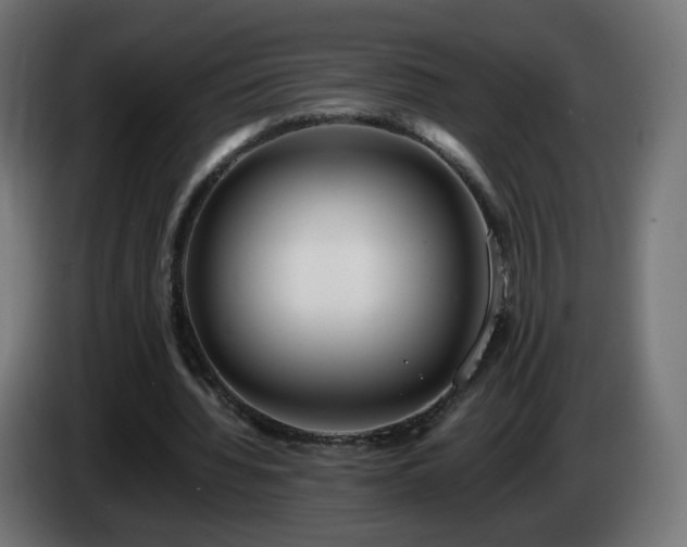 X0000084550436200703021509