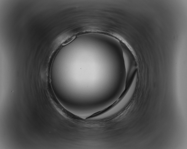 X0000084550437200703021509