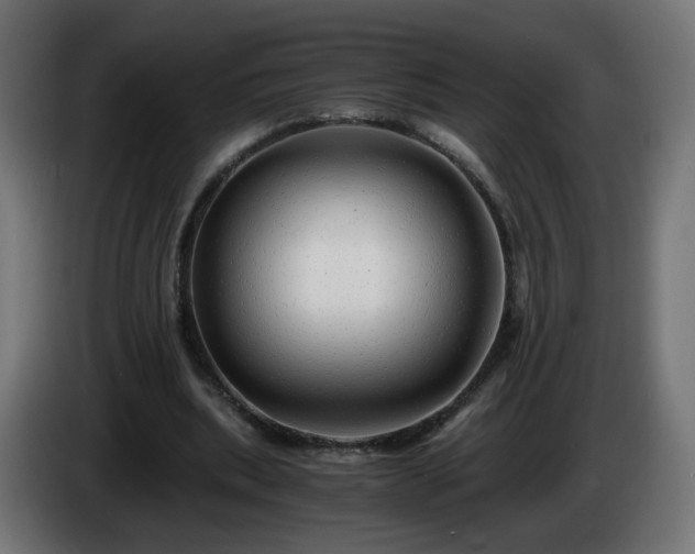 X0000084550439200703021509
