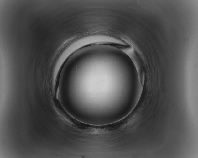 X0000084550442200703021509