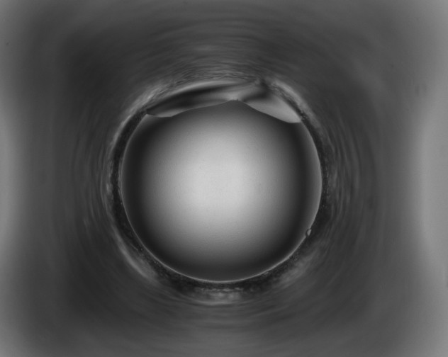 X0000084550443200703021509