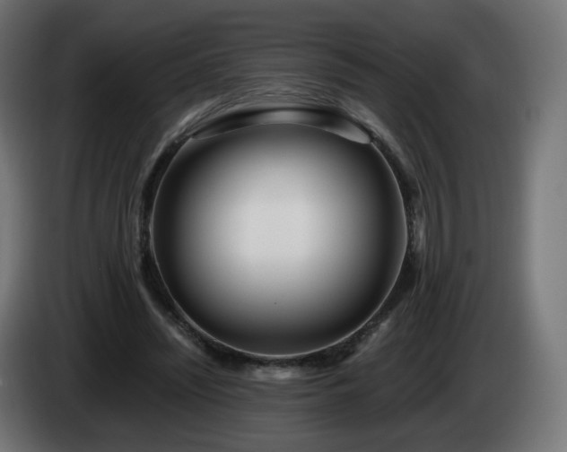 X0000084550444200703021509